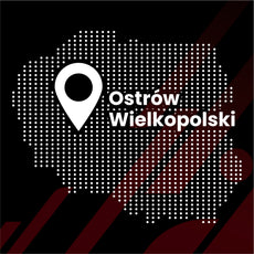 Ekrano plėvelė nuo pirštų atspaudų Volkswagen VW Multivan T7 (2021-2024) Matine Grizz
